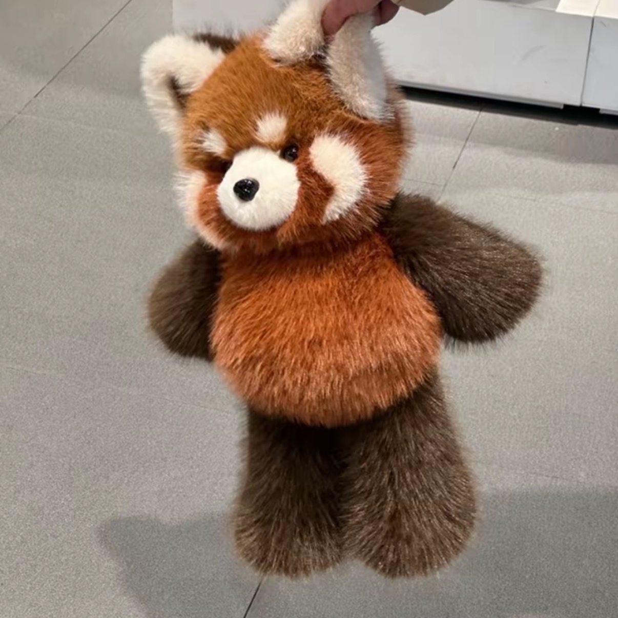 Red Panda