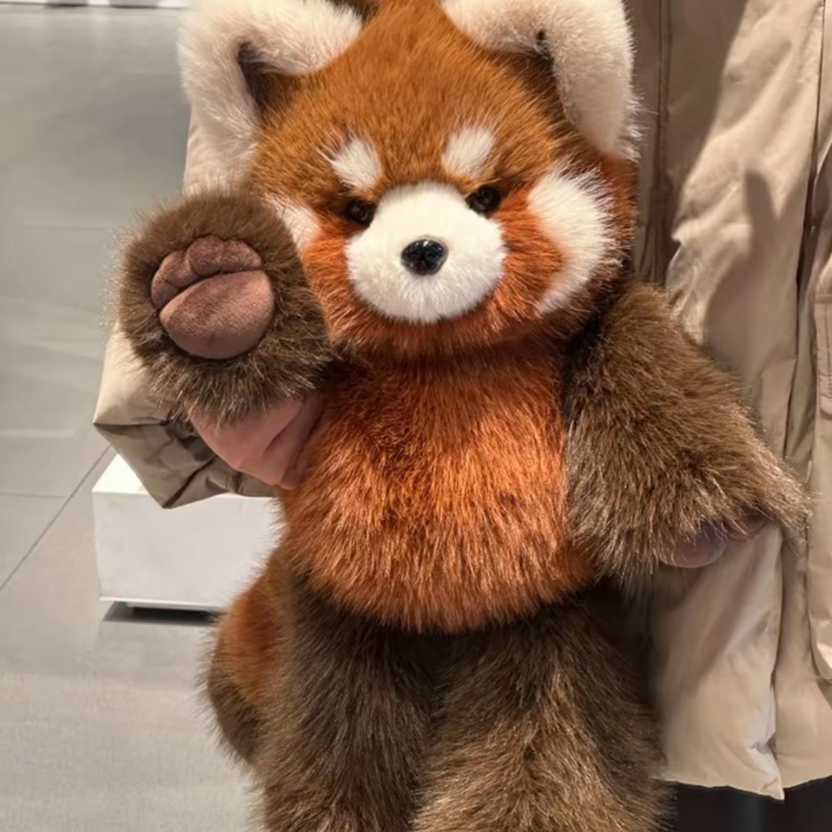 Red Panda