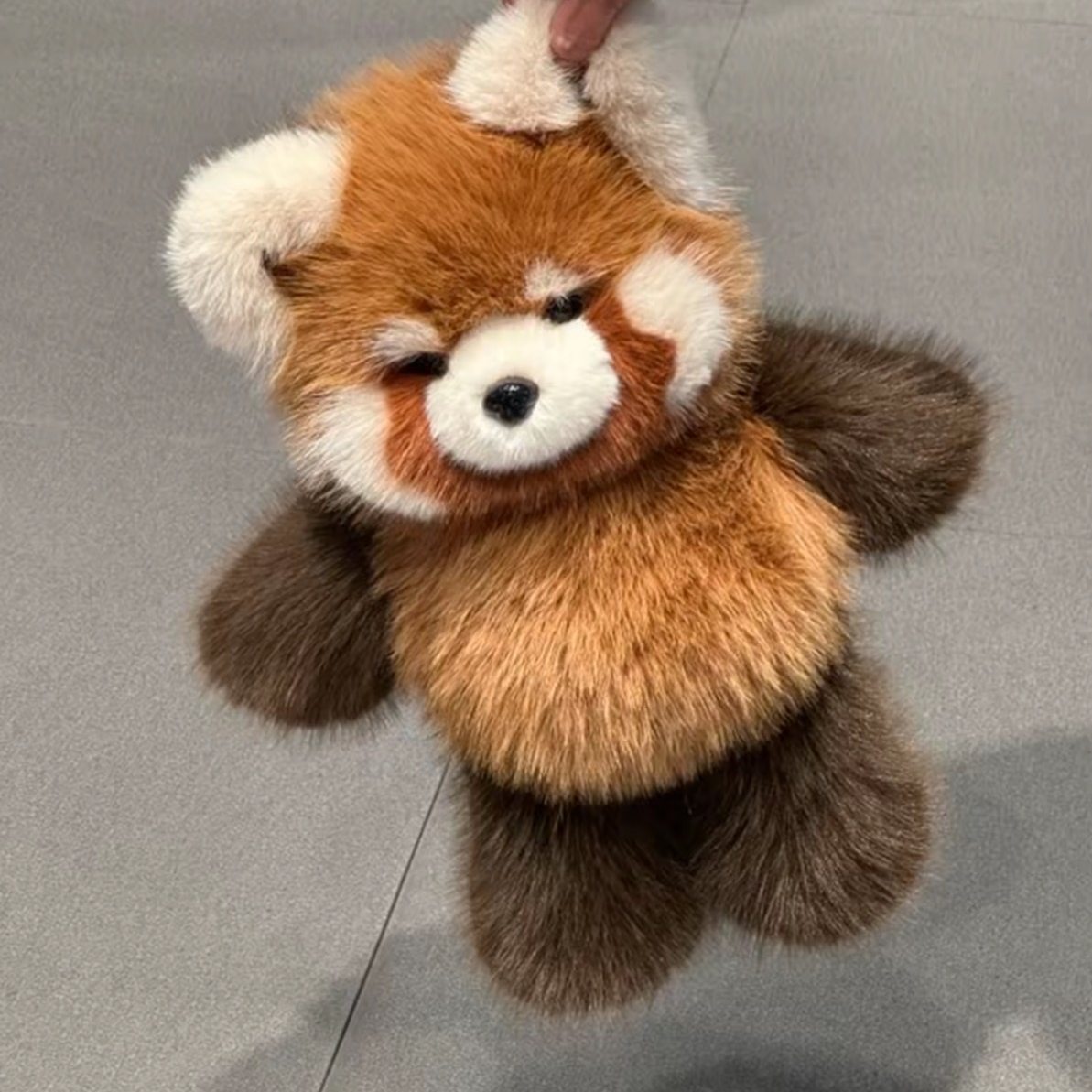 Red Panda