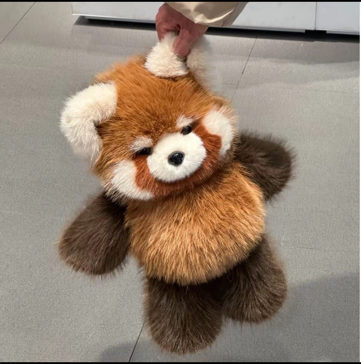 Red Panda